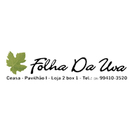 Folha da Uva